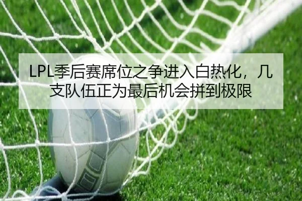 img_1781370223191_102_1_943.jpg